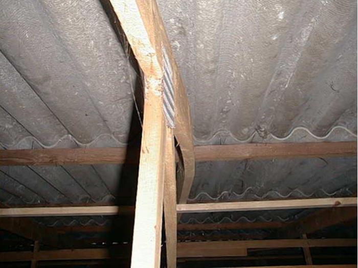 La toiture du bâtiment délevage saffaisse